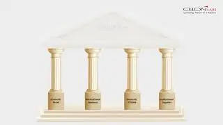 Celon Video
