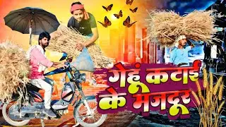 Viralvideo गेहूं कटाई के मजदूर || gehu katai ke majadoor || Katni special 2025