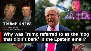 Trump and Epstein: The Unholy Alliance Explained (Part I)