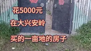 由里到外给大家介绍一下，我在大兴安岭花5000元买的这个房子 #院子的梦想 #我的乡村生活 #农村老家 #小院改造 #5000元买房