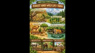 CBSE class 4 EVS Chapter -3 . Forest and wild life of India
