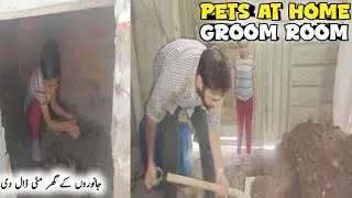 Pets at Home groom room #walli #zulnoon #petvlogpakistan @numanspet