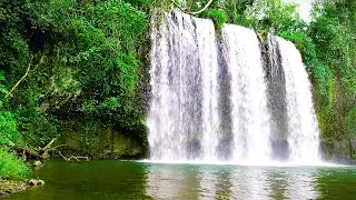 💦10 Minutes of Absolute Relaxation with Wonderful Nature, Calming Piano Music and Water Sounds🎶