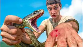 Prob&eacute; el VENENO de esta SERPIENTE - la m&aacute;s venenosa de ESPA&Ntilde;A 