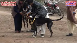 11 12 Jan 2020 chak 103 round 2 track rase