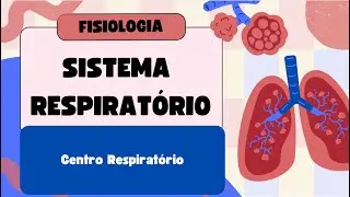 Centro Respiratório: Onde a Respiração Começa no Cérebro?
