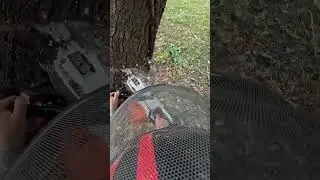 Apparently I Need a Camera to Cut Trees Now&hellip;
