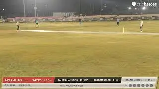 Apex Auto Loan vs Apple Enterprise Live Cricket Match | BIG BASH DHAMAKA  Live - Lalpur Cricket Sta