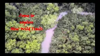 MULTI-DAYS ADVENTURE KAYAK TREKS IN THE WILD OSA PENINSULA