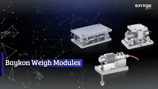 Baykon | Weigh Modules