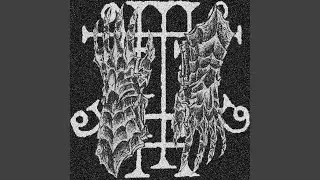 Elder Knowledge