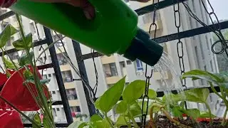 Watering CAN DIY