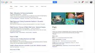 google fish