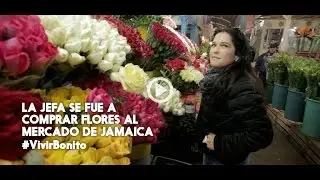 #VivirBonito ¿Cómo hacer arreglos florales? Con Martha Debayle