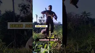 ❤️വയലിലെ മരച്ചീനി💪🏿 #agriculture #tapioca #travel #allreligion #shorts