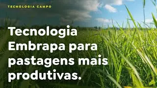 Embrapa technology for more productive pastures.