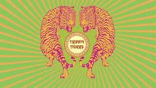 Makossa (IT) & Dj Omlet - Focaccia [TRIP002] #organichouse #downtempo  #trippintigers