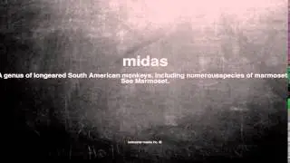 What does midas mean