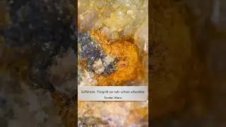 Ich habe im Gel&auml;nde sichtbares Gold gefunden, ein direkter Muttergesteinsnachweis. #gold #geology