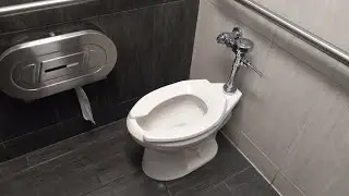 Toilet Flush At Burger King