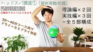 ヘッドスパ手技講座①【解剖理論/前編】ドライ～セミドライのやり方