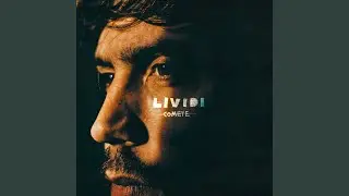 Lividi