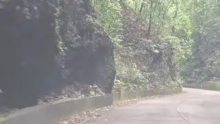Fern Gully - St Ann - Jamaica