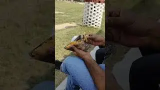 Tasdeeque Ahmad is live!