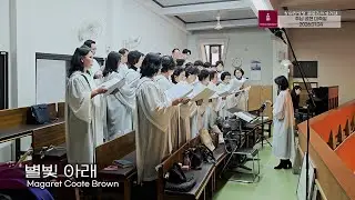 [2026.01.04] 별빛 아래