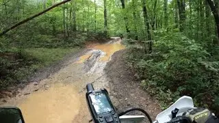 dual sporting near suches ga 