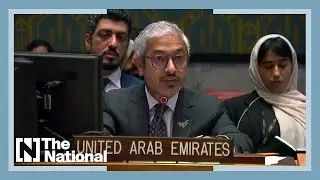UAE urges UN to stop using 'Islamic State' in reference to Daesh