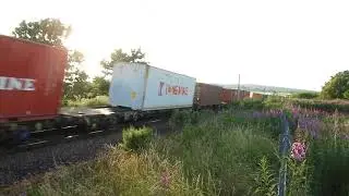 86627 and 86608