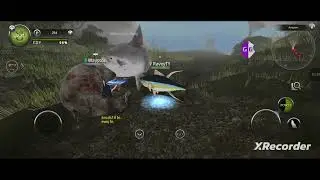 Wild Animals online (fish:Tuna)play