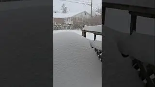 Snow Storm in Montreal! #snowstorm #Montreal #shorts