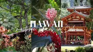 3 Must-See Nature Spots in Oahu | Hoʻomaluhia, Waimea Valley & Byodo-In