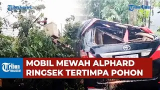 Pohon Tumbang Saat Hujan dan Angin Kencang di Makassar