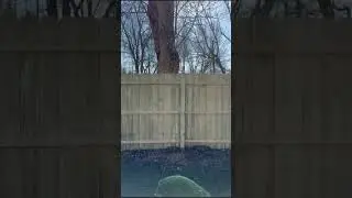Fence Installation Rochester NY | KD Fence & Deck Rochester #fenceinstallation