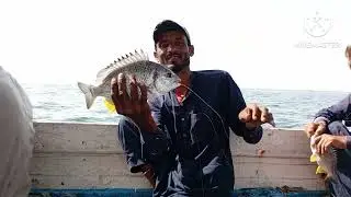 Main kamari fishing point day 28 date 20-oct-25 