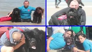 Rencontre Terre Neuve Bray Dunes 2019
