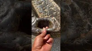 A horse trough that has been used for more than 200 years, carved from a single piece of stone