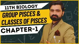 Classification of Vertebrates | Lecture # 10 | Group Pisces & Classes of Pisces | 1st Year Biology