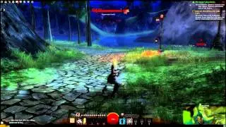 Guild Wars 2 - First Look !!