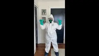 DIY Pest Control 101: Must-Have Safety Gear for a Bug-Free Home!