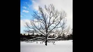 Sunday Sharing - Discipline towards Widening - Ray - Dec 7, 2025