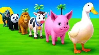 Long Slide Game With Elephant Gorilla Buffalo Hippopotamus Tiger - 3d Animal Game - Funny 3d Animals