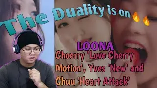 New Orbit Reacting to LOONA (Choerry) 
