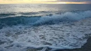 Tarde Falerna