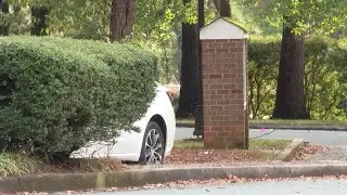 Strawberry Hill Apartment neighbors see several car break-ins