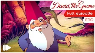 David the Gnome (English) - 01 - David, The Gnome | Full Episode
