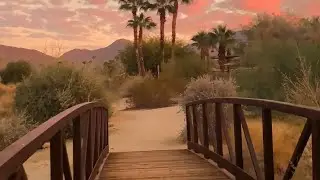 Top 5 Best things ranked: TOP 10 MOST EXTREME DESERT LANDSCAPES ON EARTH RANKED!